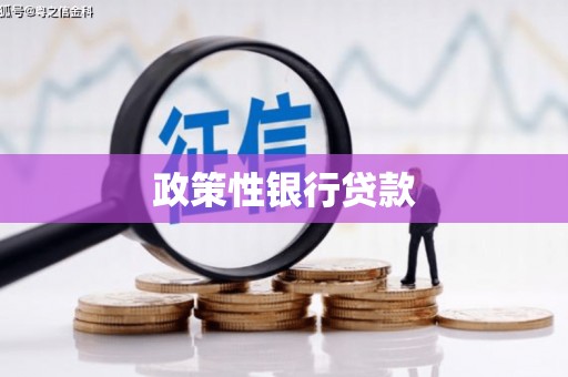 张家川政策性银行贷款