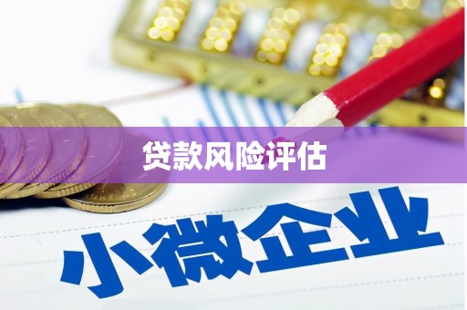 巴楚贷款风险评估